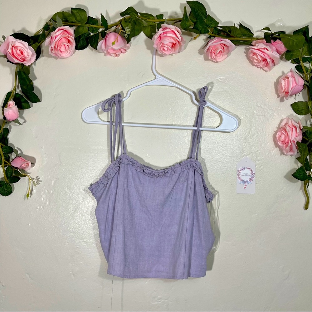 2/$20 Pacsun Lottie Moss Purple Crop Top